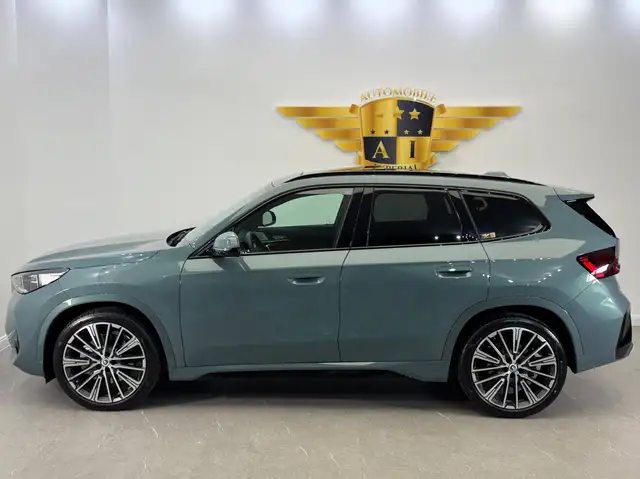 BMW X1 view 7