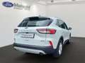 Ford Kuga Plug-In Hybrid Titanium 2.5 Duratec -PHEV EU6d AHK Weiß - thumbnail 2
