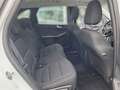 Ford Kuga Plug-In Hybrid Titanium 2.5 Duratec -PHEV EU6d AHK Weiß - thumbnail 12