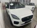 Jaguar E-Pace 2.0d i4 R-Dynamic SE 180CV BLACK LINE Bianco - thumbnail 6
