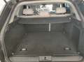Land Rover Range Rover Sport 3.0TDV6 HSE Dynamic Aut. Weiß - thumbnail 9