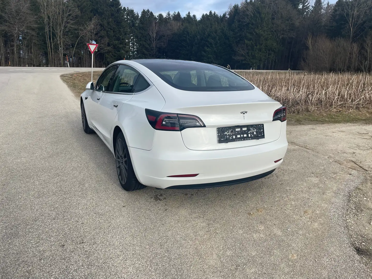 Tesla Model 3 Model 3 Standard Range Plus  Plus, TOP ZUSTAND Weiß - 2
