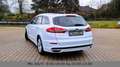 Ford Mondeo Turnier Titanium AWD ACC Panor. Standh. Белый - thumbnail 4
