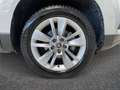 Skoda Karoq 2017 1.6 tdi Executive Grigio - thumbnail 6