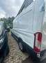 Ford Transit Bus 2,0 EcoBlue L2H2 350 Trend Transporter Weiß - thumbnail 4