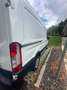 Ford Transit Bus 2,0 EcoBlue L2H2 350 Trend Transporter Weiß - thumbnail 2