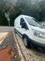 Ford Transit Bus 2,0 EcoBlue L2H2 350 Trend Transporter Weiß - thumbnail 1