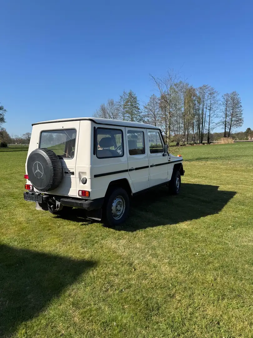 Mercedes-Benz G 300 GD Stufe 3 - 2