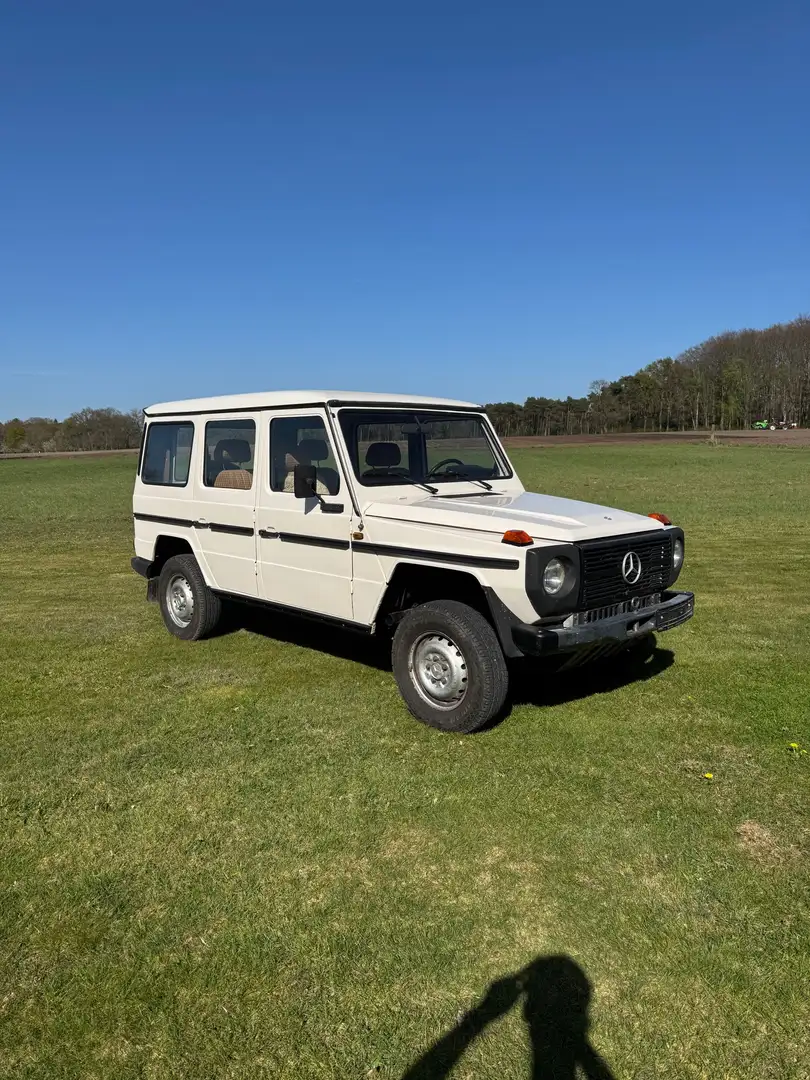 Mercedes-Benz G 300 GD Stufe 3 - 1