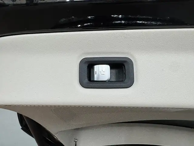 Mercedes-Benz GLS 600 4MATIC Maybach Aut.**Mega Voll** Ansicht 46