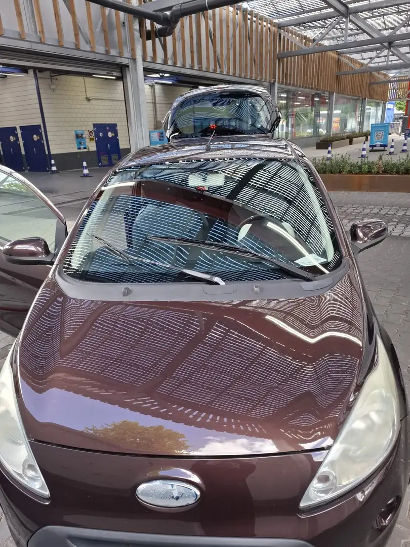 Ford Ka/Ka+ Ka/Ka+ 1.2 Titanium Marrone - 1
