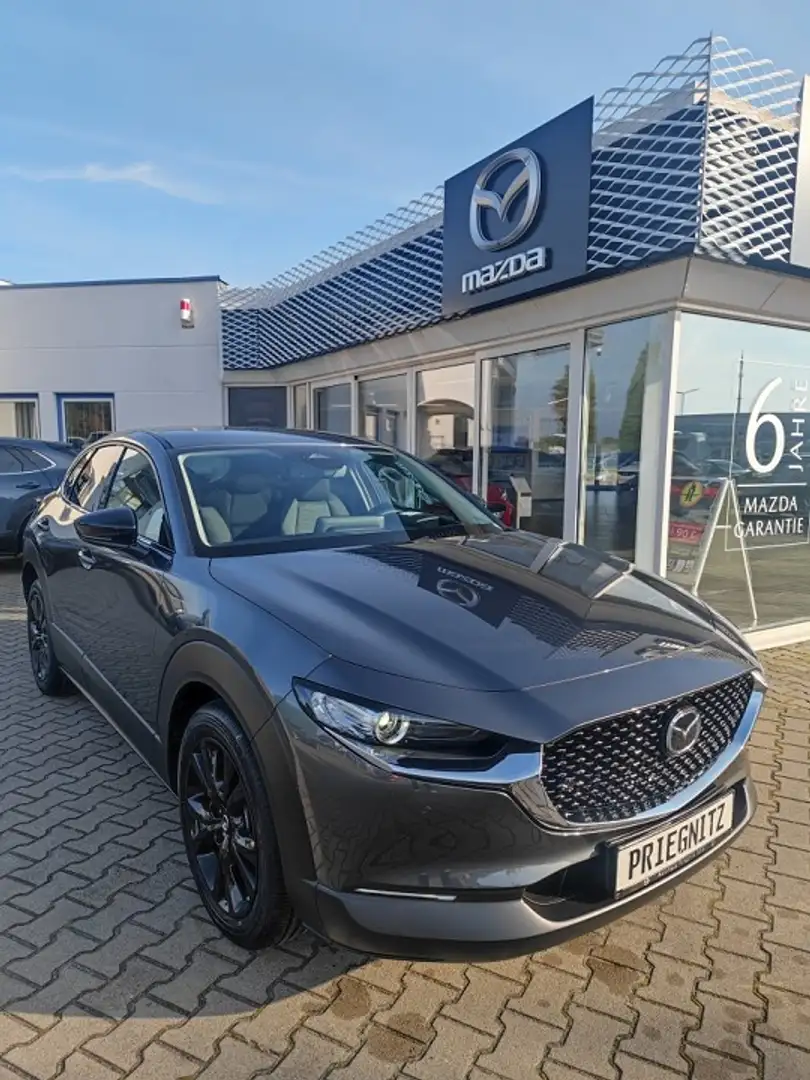 Mazda CX-30 2.5L e-SKYACTIV G 140ps Voll-LED Scheinwerfer, Hea Grigio - 1