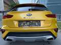 Kia XCeed Xceed 1,6 CRDI SCR Gold Gelb - thumbnail 5