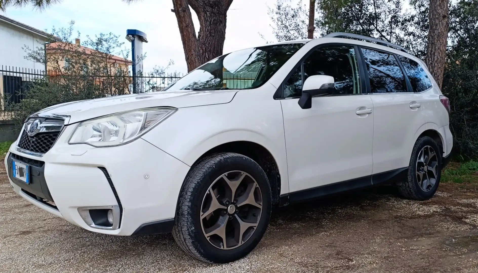 Subaru Forester Forester 2.0d-L Exclusive White - 2