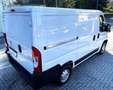Fiat Ducato 2.2 Hdi L1H1 // Passo Corto Tetto Basso L1 H1 Blanc - thumbnail 5