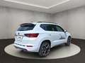 CUPRA Ateca 1.5 TSI 110 kW (150 PS) 7-Gang DSG Weiß - thumbnail 5