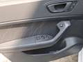 CUPRA Ateca 1.5 TSI 110 kW (150 PS) 7-Gang DSG Weiß - thumbnail 11