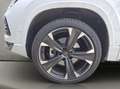 CUPRA Ateca 1.5 TSI 110 kW (150 PS) 7-Gang DSG Weiß - thumbnail 19