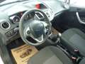 Ford Fiesta 1.2 Trend*KLIMA*5 TRG*TÜV NEU* Wit - thumbnail 10