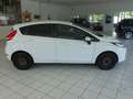 Ford Fiesta 1.2 Trend*KLIMA*5 TRG*TÜV NEU* Wit - thumbnail 5