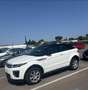 Land Rover Range Rover Evoque Cabrio TD4 HSE Dynamic - thumbnail 12