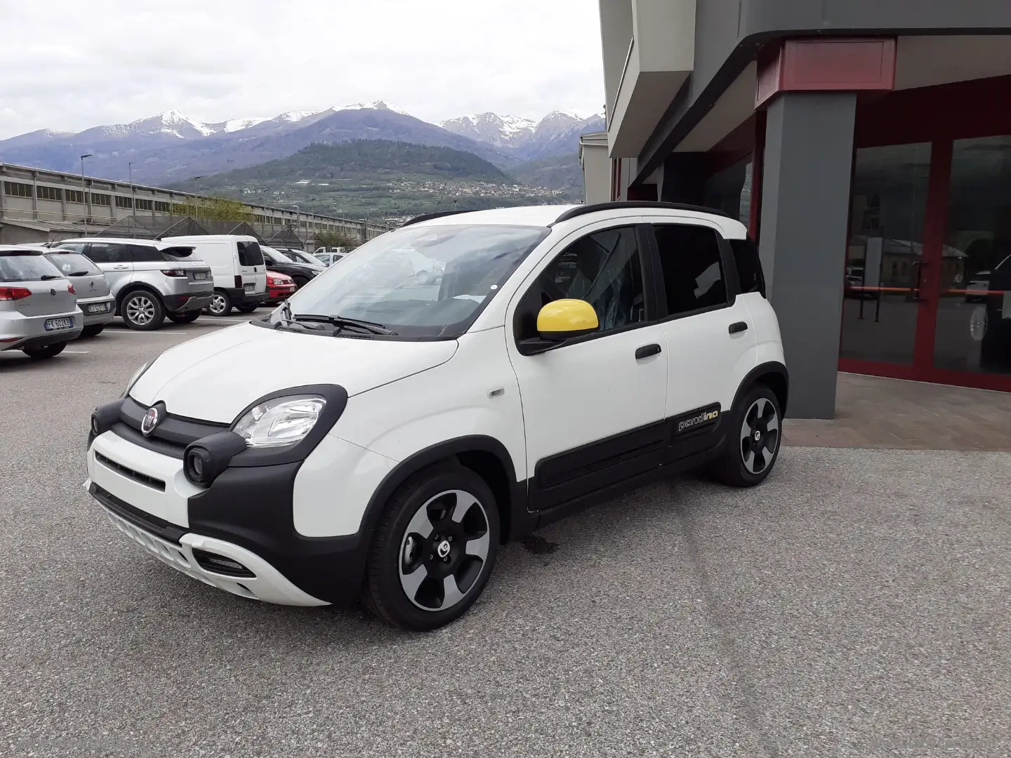 Fiat Panda 1.0 FireFly Hybrid Pandina CITY CROSS Bianco - 2