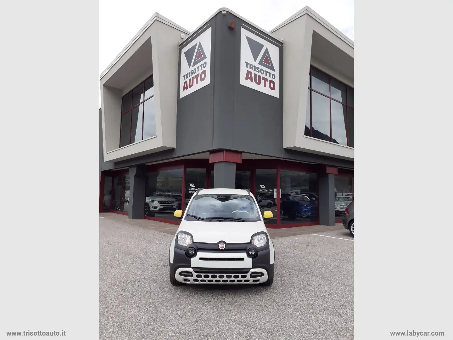 Fiat Panda 1.0 FireFly Hybrid Pandina CITY CROSS Bianco - 1