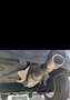 Peugeot 207 Active 1,6 HDi 95 FAP - thumbnail 13