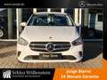 Mercedes-Benz B 250 e Style/Business-P/Verkehrszeichenass/RfCam Weiß - thumbnail 2