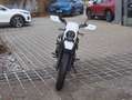Honda CL 500 Vert - thumbnail 4