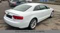 Audi A5 Coupe 3.0 TDI  ACC B&O LED Garantie TÜV 10/27 Weiß - thumbnail 9