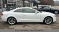 Audi A5 Coupe 3.0 TDI  ACC B&O LED Garantie TÜV 10/27 Weiß - thumbnail 5