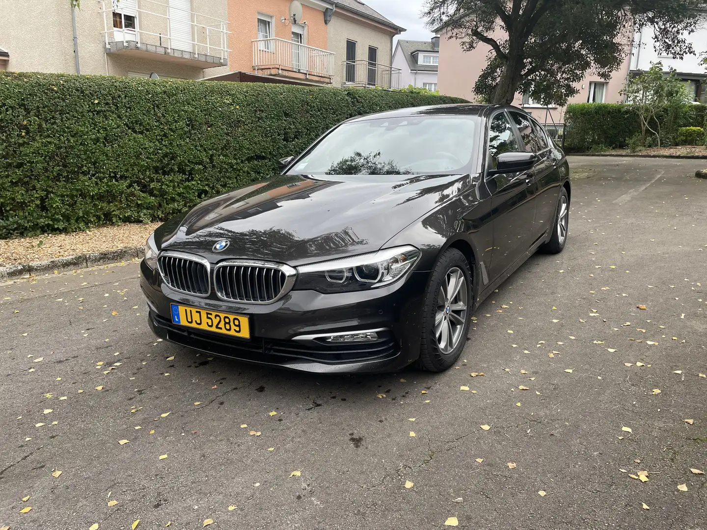 BMW 530 530d xDrive 265 ch BVA8 Luxury - 1