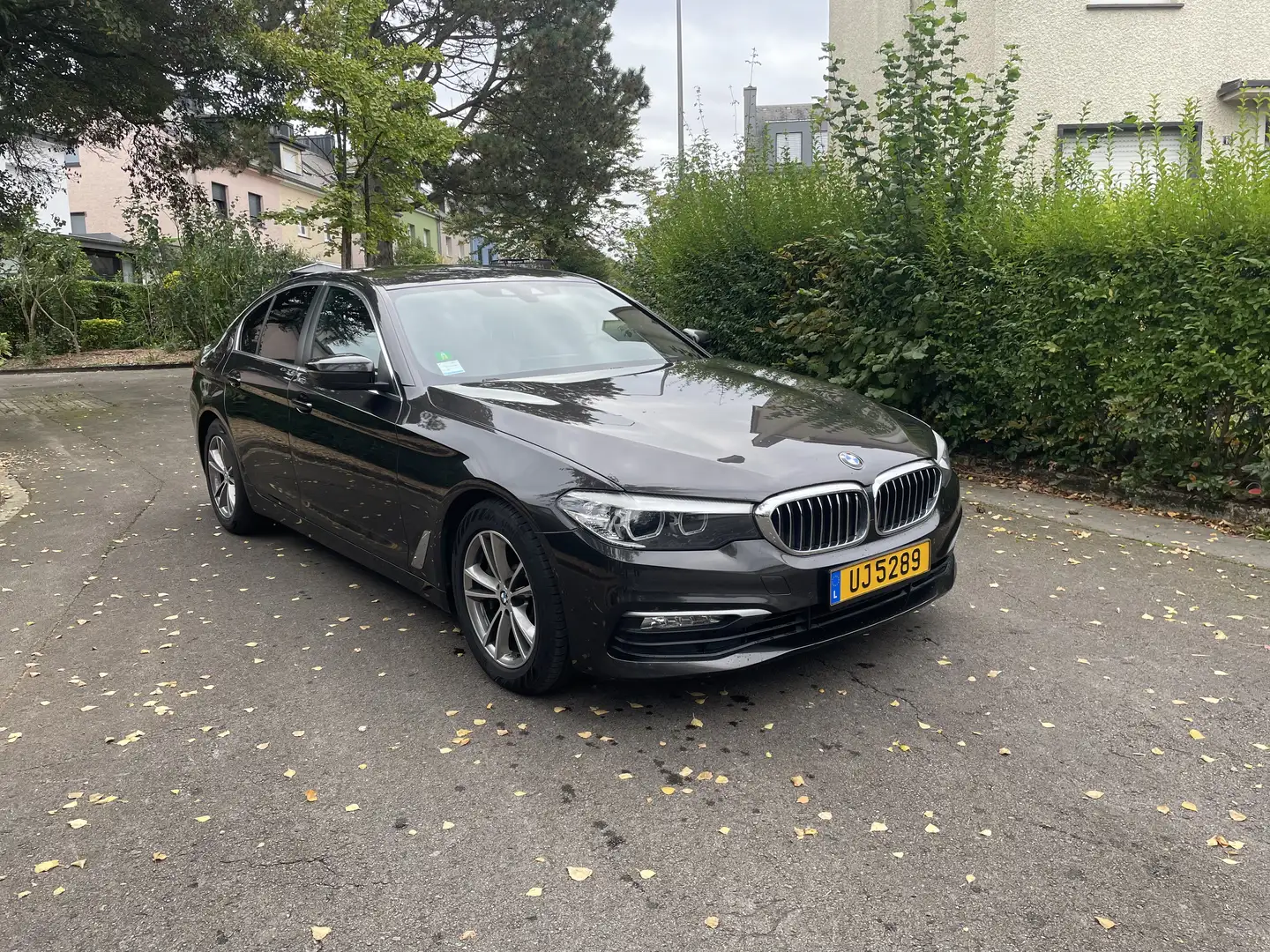 BMW 530 530d xDrive 265 ch BVA8 Luxury - 2