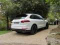 Porsche Cayenne Bianco - thumbnail 5
