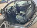 smart forTwo coupe Prime electric drive / EQ Pano*Lede Grau - thumbnail 15