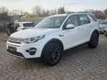 Land Rover Discovery Sport HSE*ATM*Leder*Euro6 Wit - thumbnail 2