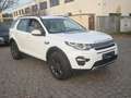 Land Rover Discovery Sport HSE*ATM*Leder*Euro6 Wit - thumbnail 5