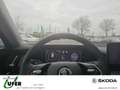 Skoda Kodiaq 1.5 TSI mHEV 110kW Selection EU6e Blau - thumbnail 10