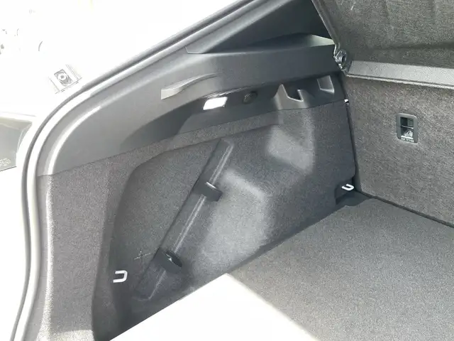 Cupra Tavascan view 14