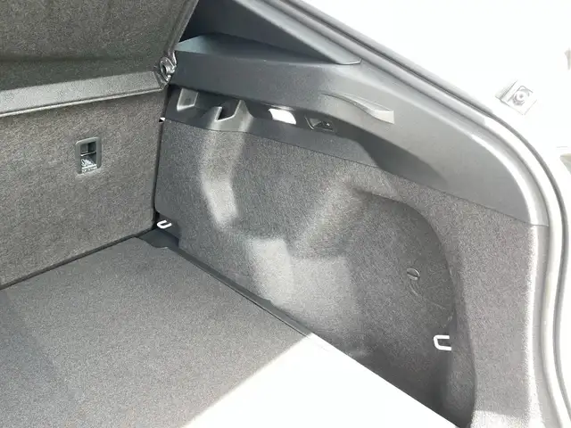 Cupra Tavascan view 15