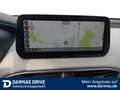 Hyundai SANTA FE SANTA FE Plug-in-Hybrid 4WD Signature Leder AHK Czarny - thumbnail 15