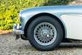 Austin-Healey 3000 MKI Overdrive BN7 "Two seater" Two-seater BN7 in m Blau - thumbnail 26