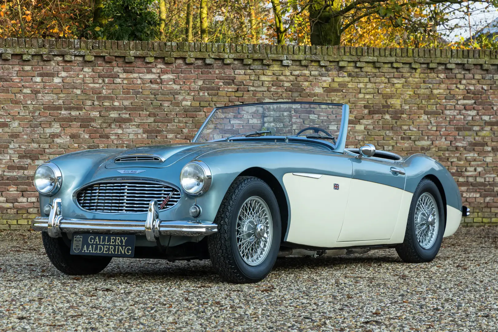 Austin-Healey 3000 MKI Overdrive BN7 "Two seater" Two-seater BN7 in m Mavi - 1