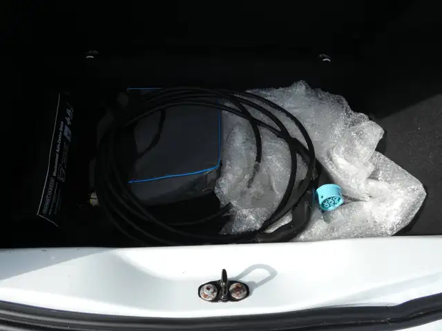 Renault Zoe view 7