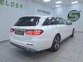 Mercedes-Benz E 220 d Avantgarde / PANORAMA /BURMESTER /DISTRO Weiß - thumbnail 7