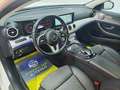 Mercedes-Benz E 220 d Avantgarde / PANORAMA /BURMESTER /DISTRO Weiß - thumbnail 9