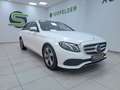 Mercedes-Benz E 220 d Avantgarde / PANORAMA /BURMESTER /DISTRO Weiß - thumbnail 1