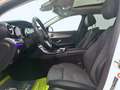 Mercedes-Benz E 220 d Avantgarde / PANORAMA /BURMESTER /DISTRO Weiß - thumbnail 11