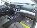 Mercedes-Benz E 220 d Avantgarde / PANORAMA /BURMESTER /DISTRO Weiß - thumbnail 10
